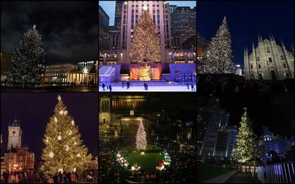 Natale, da Milano a New York: gli alberi più belli nel mondo. FOTO