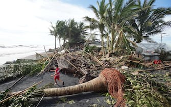 TOPSHOT - A child plays next to uprooted coconut and banana trees in the coastal town of Dulag in Leyte province on December 17, 2021, a day after Super Typhoon Rai hit.  (Photo by Bobbie ALOTA / AFP) (Photo by BOBBIE ALOTA / AFP via Getty Images)