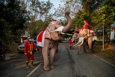 PHRA NAKHON SI AYUTTHAYA, THAILAND - DECEMBER 24: Elephant trainers dress their elephants in Santa Claus costumes before delivering gifts to children at the Jirasat Wittaya elementary school on December 24, 2021 in Phra Nakhon si Ayutthaya, Thailand. Each year, elephants from the Royal Elephant Palace in Ayutthaya are dressed up in Santa Claus costumes and visit children at the Jirasat Wittaya elementary school to perform and hand out presents. This year elephants distributed balloons and hand sanitizer to students dressed for the holidays.  (Photo by Lauren DeCicca/Getty Images)