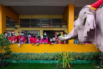 PHRA NAKHON SI AYUTTHAYA, THAILAND - DECEMBER 24: Elephants dressed in Santa Claus costumes deliver gifts to children at the Jirasat Wittaya elementary school on December 24, 2021 in Phra Nakhon si Ayutthaya, Thailand. Each year, elephants from the Royal Elephant Palace in Ayutthaya are dressed up in Santa Claus costumes and visit children at the Jirasat Wittaya elementary school to perform and hand out presents. This year elephants distributed balloons and hand sanitizer to students dressed for the holidays.  (Photo by Lauren DeCicca/Getty Images)