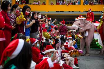 PHRA NAKHON SI AYUTTHAYA, THAILAND - DECEMBER 24: Elephants dressed in Santa Claus costumes perform for children at the Jirasat Wittaya elementary school on December 24, 2021 in Phra Nakhon si Ayutthaya, Thailand. Each year, elephants from the Royal Elephant Palace in Ayutthaya are dressed up in Santa Claus costumes and visit children at the Jirasat Wittaya elementary school to perform and hand out presents. This year elephants distributed balloons and hand sanitizer to students dressed for the holidays.  (Photo by Lauren DeCicca/Getty Images)