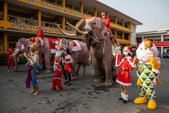 PHRA NAKHON SI AYUTTHAYA, THAILAND - DECEMBER 24: Elephants dressed in Santa Claus costumes perform for children at the Jirasat Wittaya elementary school on December 24, 2021 in Phra Nakhon si Ayutthaya, Thailand.  Each year, elephants from the Royal Elephant Palace in Ayutthaya are dressed up in Santa Claus costumes and visit children at the Jirasat Wittaya elementary school to perform and hand out presents.  This year elephants distributed balloons and hand sanitizer to students dressed for the holidays.  (Photo by Lauren DeCicca / Getty Images)