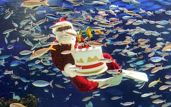 Gli auguri di Babbo Natale in un acquario a Tokyo