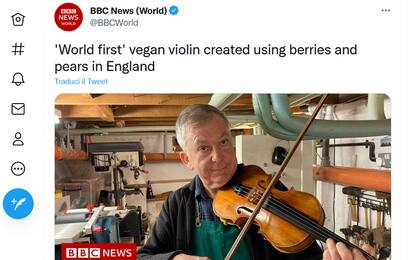 Dall’Inghilterra arriva il primo violino vegano al mondo