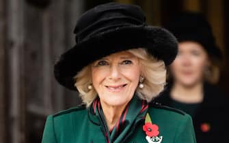 LONDON, ENGLAND - NOVEMBER 11: Camilla, Duchess of Cornwall attends the 93rd Field of Remembrance at Westminster Abbey on November 11, 2021 in London, England.  (Photo by Samir Hussein/WireImage)