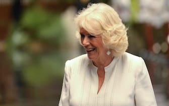 Camilla, Duchess of Cornwall, is pictured during a welcome ceremony at the Revolution Palace in Havana, on March 25, 2019. - Britain's Prince Charles and his wife, the Duchess of Cornwall, are on the first royal visit to communist-run Cuba at a time when ally Washington is seeking to ramp up sanctions against the island. (Photo by YAMIL LAGE / AFP) (Photo by YAMIL LAGE/AFP via Getty Images)