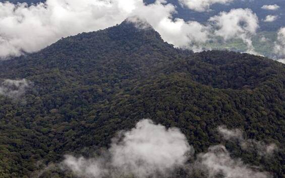 Amazon Summit, Alliance against Deforestation: 113-point agreement