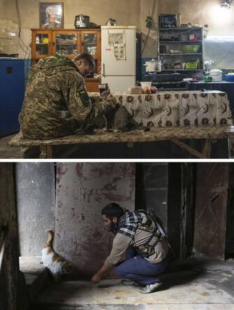 ANKARA, TURKIYE - MARCH 16: (EDITOR'S NOTE: COMPOSITE IMAGE) Photos emerged during Russia's attacks on Ukraine bear similarities with the images taken during the Syrian Civil War. A photo dated on February 02, 2022 (top) shows Ukrainian soldier petting a cat at a kitchen outside of Maryinka, Ukraine and a photo dated on March 02, 2015 shows Syrian man petting a cat as he takes position against Syrian regime forces in Aleppo, Syria. (Photo by Wolfgang Schwan,Salih Mahmud Leyla/Anadolu Agency via Getty Images)