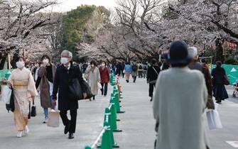 March 25, 2022, Tokyo, Japan: A warning sign to refrain from Hanami parties during the cherry blossom season is displayed outside Yoyogi Park. The Tokyo Metropolitan Government announced restrictions for people unfurling picnic mats under sakura trees for Hanami (flower viewing) parties in some city parks during the cherry blossom season to prevent the spread of new coronavirus cases in the capital.



Pictured: GV,General View

Ref: SPL5299089 250322 NON-EXCLUSIVE

Picture by: Rodrigo Reyes Marin/ZUMA Press Wire / SplashNews.com



Splash News and Pictures

USA: +1 310-525-5808
London: +44 (0)20 8126 1009
Berlin: +49 175 3764 166

photodesk@splashnews.com



World Rights, No Argentina Rights, No Belgium Rights, No China Rights, No Czechia Rights, No Finland Rights, No France Rights, No Hungary Rights, No Japan Rights, No Mexico Rights, No Netherlands Rights, No Norway Rights, No Peru Rights, No Portugal Rights, No Slovenia Rights, No Sweden Rights, No Taiwan Rights, No United Kingdom Rights