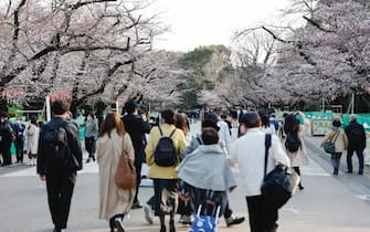 March 25, 2022, Tokyo, Japan: A warning sign to refrain from Hanami parties during the cherry blossom season is displayed outside Yoyogi Park. The Tokyo Metropolitan Government announced restrictions for people unfurling picnic mats under sakura trees for Hanami (flower viewing) parties in some city parks during the cherry blossom season to prevent the spread of new coronavirus cases in the capital.



Pictured: GV,General View

Ref: SPL5299089 250322 NON-EXCLUSIVE

Picture by: Rodrigo Reyes Marin/ZUMA Press Wire / SplashNews.com



Splash News and Pictures

USA: +1 310-525-5808
London: +44 (0)20 8126 1009
Berlin: +49 175 3764 166

photodesk@splashnews.com



World Rights, No Argentina Rights, No Belgium Rights, No China Rights, No Czechia Rights, No Finland Rights, No France Rights, No Hungary Rights, No Japan Rights, No Mexico Rights, No Netherlands Rights, No Norway Rights, No Peru Rights, No Portugal Rights, No Slovenia Rights, No Sweden Rights, No Taiwan Rights, No United Kingdom Rights