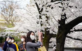 epa09852669 People enjoy viewing and taking photos of cherry blossoms in full bloom in Tokyo, Japan, 27 March 2022, the day the Japan Meteorological Agency declared full bloom of cherry blossoms in the Japanese capital. Due to the continuing spread of the COVID-19, hanami (or cherry blossom-viewing) are restricted in majors parks.  EPA/FRANCK ROBICHON