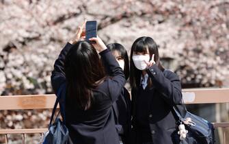 March 25, 2022, Tokyo, Japan: People wearing face masks walk along the cherry blossoms trees roped-off to refrain from parties at Meguro River in Nakameguro. The Tokyo Metropolitan Government announced restrictions for people unfurling picnic mats under sakura trees for Hanami (flower viewing) parties in some city parks during the cherry blossom season to prevent the spread of new coronavirus cases in the capital.



Pictured: GV,General View

Ref: SPL5299126 250322 NON-EXCLUSIVE

Picture by: Rodrigo Reyes Marin/ZUMA Press Wire / SplashNews.com



Splash News and Pictures

USA: +1 310-525-5808
London: +44 (0)20 8126 1009
Berlin: +49 175 3764 166

photodesk@splashnews.com



World Rights, No Argentina Rights, No Belgium Rights, No China Rights, No Czechia Rights, No Finland Rights, No France Rights, No Hungary Rights, No Japan Rights, No Mexico Rights, No Netherlands Rights, No Norway Rights, No Peru Rights, No Portugal Rights, No Slovenia Rights, No Sweden Rights, No Taiwan Rights, No United Kingdom Rights