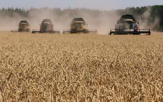 Harvesters in the field. Harvesting combines in the fields of Novovodolazhsky district of Kharkiv region, Ukraine on July 25, 2017. (Photo by Pavlo Pakhomenko/NurPhoto via Getty Images)