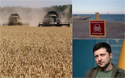 Guerra in Ucraina, export grano bloccato: le conseguenze globali