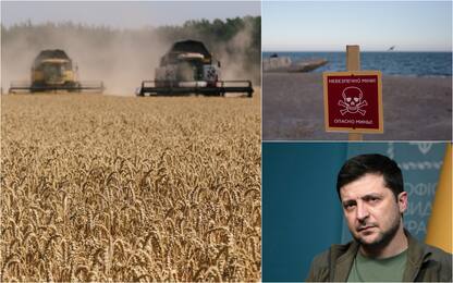 Guerra in Ucraina, export grano bloccato: le conseguenze globali