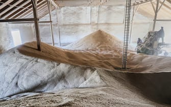 CRIMEA, RUSSIA - MARCH 15, 2022: Grain conditioning at a storage facility of Krasnogvardeisky Elevator in the village of Krasnogvardeiskoye. Russian may ban export of wheat, rye, barley and corn from March 15 to June 30. Sergei Malgavko/TASS/Sipa USA