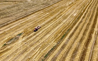 (EDITOR'S NOTE: Image taken with a drone) A combine harvester harvesting wheat on a field, during the vaccination.  Seasonal agricultural workers in O? Uzlar village of Polatl?  district have been administered with Pfizer Biontech and Sinovac vaccine against COVID-19 by vaccination teams affiliated to the Ministry of Health.  (Photo by Tunahan Turhan / SOPA Images / Sipa USA)