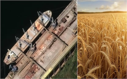 Ucraina, foto satellitari mostrano navi russe che caricano grano