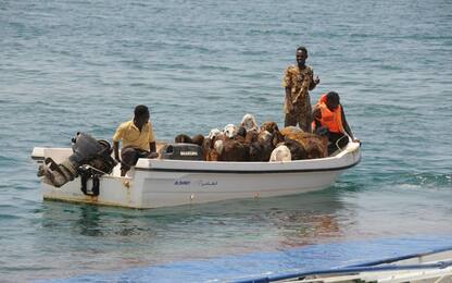 Nave affonda in Sudan, morte in mare quasi 16mila pecore
