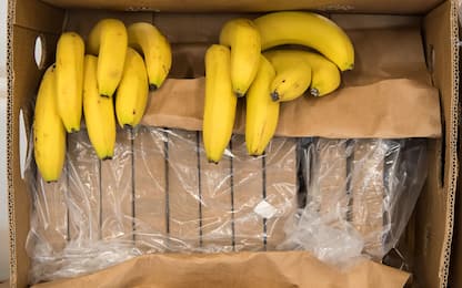 Carico di cocaina nascosto nelle banane in Repubblica Ceca