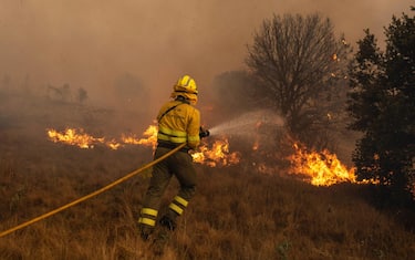 Firefighters during the Sierra de la Culebra fire on June 18, 2022, in Zamora, Castilla y León (Spain). This fire, which remains at level 2 risk, has already burned nearly 20,000 hectares in the west of the province and has forced the railway traffic between Zamora-Sanabria Alta Velocidad and Madrid-Galicia to be cut off for at least all day Saturday. Photo by Emilio Fraile / Europa Press/ABACAPRESS.COM