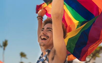Gay Pride, strade piene per la manifestazione a San Paolo del Brasile