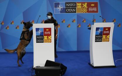 Vertice Nato, a Madrid tutto pronto: Paesi che partecipano e agenda