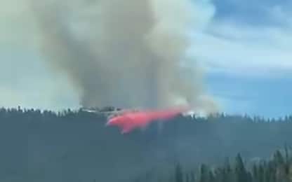 Incendio nel Parco Yosemite, a rischio le sequoie millenarie