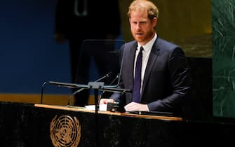Prince Harry at the UN