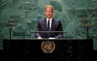 Prince Harry at the UN