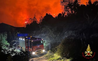 Woods burning in Versilia, some houses evacuated as a precaution