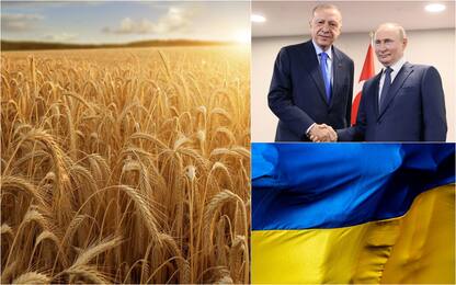 Crisi del grano, Russia e Ucraina firmano accordi con Onu e Turchia
