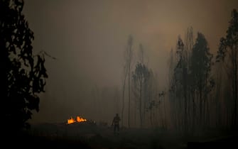 A firefighter stand in the middle of a burnt forest during a wildfire at the village of Asseiceira Pequena in Mafra on July 31, 2022. (Photo by PATRICIA DE MELO MOREIRA / AFP) (Photo by PATRICIA DE MELO MOREIRA/AFP via Getty Images)