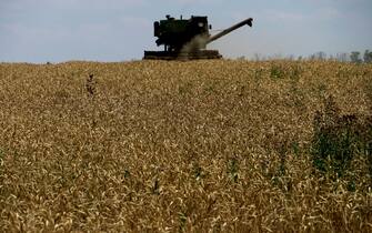 This photograph taken on July 31, 2022 shows a grain combine harvester collecting wheat near Novoazovsk outside Mariupol, amid the ongoing Russian military action in Ukraine. (Photo by AFP) (Photo by -/AFP via Getty Images)