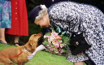 Archive photo from May 20, 1998 shows Queen Elizabeth with one of her Corgi.  HANDLE