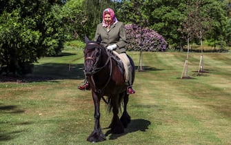   The Queen is pictured riding Fern - a 14 year old Fell Pony - in Windsor Home Park this weekend.