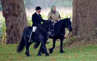 WINDSOR, UNITED KINGDOM - OCTOBER 18: (EMBARGOED FOR PUBLICATION IN UK NEWSPAPERS UNTIL 24 HOURS AFTER CREATE DATE AND TIME) Queen Elizabeth II, accompanied by her Stud Groom Terry Pendry, seen horse riding in the grounds of Windsor Castle on October 18, 2008 in Windsor, England.  (Photo by Max Mumby / Indigo / Getty Images)