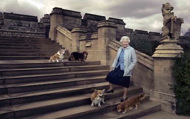 April 21, 2016.
In this official photograph released by Buckingham Palace to mark her 90th birthday, Queen Elizabeth II is seen walking in the private grounds of Windsor Castle on steps at the rear of the East Terrace and East Garden with four of her dogs: clockwise from top left Willow (corgi), Vulcan (dorgie), Candy (dorgie) and Holly (corgi). *** Local Caption *** *