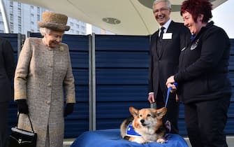 Queen Elizabeth II (left) looks at a Corgi as Paul O'Grady (2nd right) looks on during a visit to Battersea Dogs and Cats Home in London.