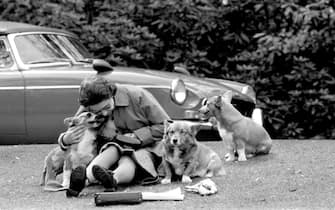 Queen Elizabeth II sitting on a grassy bank with the corgis at Virginia Water to watch competitors, including Prince Philip, in the Marathon of the European Driving Championship, part of the Royal Windsor Horse Show.