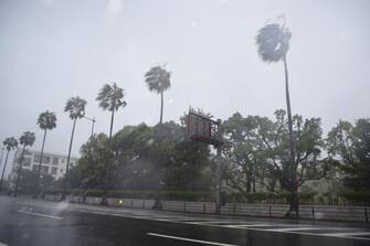 Roadside trees are blown by strong winds as Typhoon Nanmadol approaches in Kagoshima city, south of Kyushu, on September 18, 2022. - Japan OUT (Photo by JIJI PRESS / AFP) / Japan OUT (Photo by STR/JIJI PRESS/AFP via Getty Images)