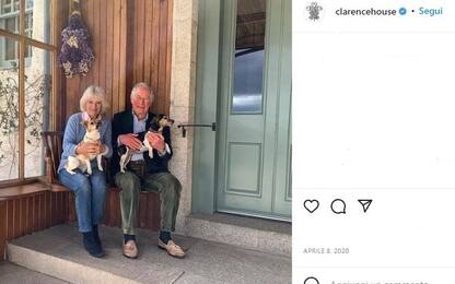 A Buckingham Palace arrivano i jack russell di Carlo e Camilla