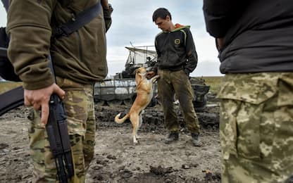 Guerra Ucraina Russia, le ultime notizie dell'1 ottobre