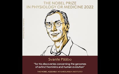 Premio Nobel per la Medicina 2022, vince Svante Pääbo