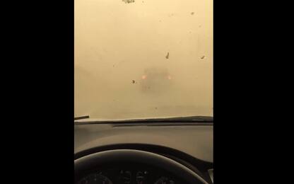 California, violenta tempesta di sabbia investe automobilisti. VIDEO