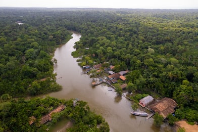 Amazzonia, scienziati raggiungono l'albero più alto del mondo