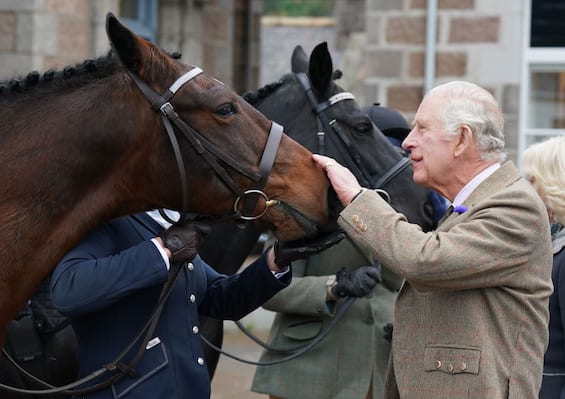 King Charles III is selling 12 horses that belonged to Queen Elizabeth