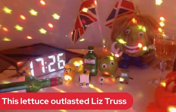 Liz Truss resigns, the Daily Star and that bet won by lettuce