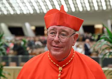 Il Cardinale Hollerich: "Benedire le coppie gay? Dio non le maledice"