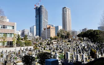 Aoyama Cemetery in Tokyo, Japan.